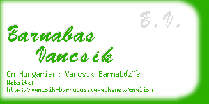 barnabas vancsik business card